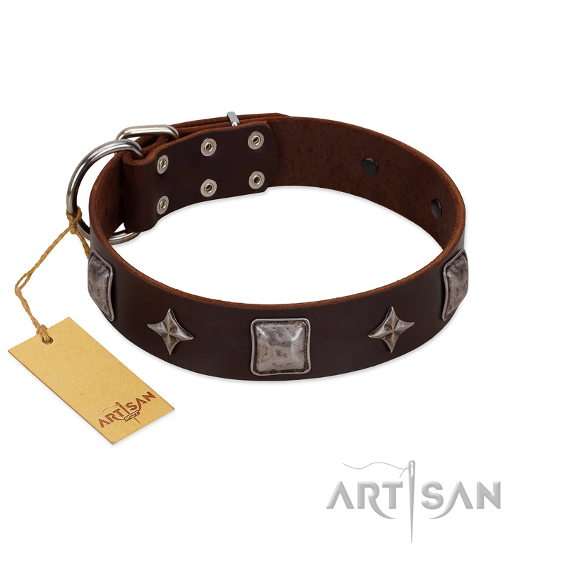 "Cold Star" Designer FDT Artisan Brown Leather Rottweiler Collar with Silver-Like Adornments