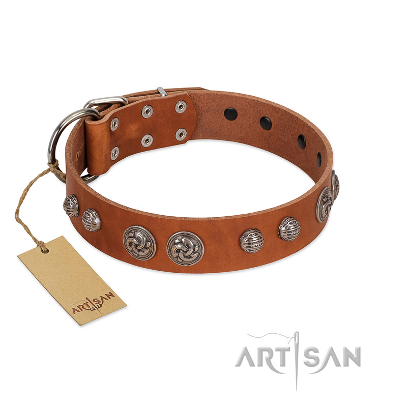 "Era Infinitum" FDT Artisan Tan Leather Rottweiler Collar Adorned with Chrome-plated Circles