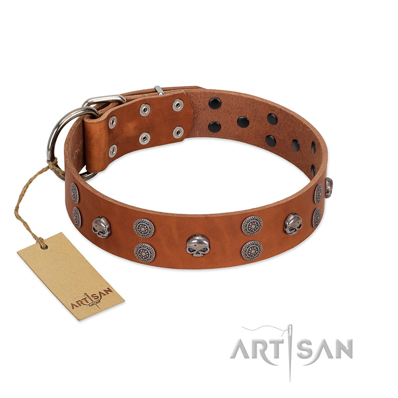 "Road Rider" FDT Artisan Tan Leather Rottweiler Collar with Old Silver-like Skulls and Medallions