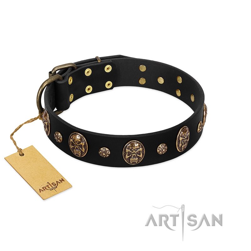 Pirate's Spell' FDT Artisan Black Leather Rottweiler Collar with Engraved Studs and Medallions