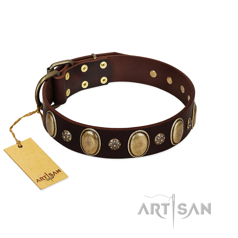 "Bronze Idol" FDT Artisan Brown Leather Rottweiler Collar with Eye-catching Ovals and Small Studs