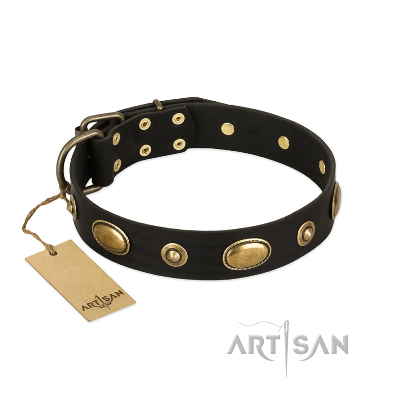 "Eye-Catcher" FDT Artisan Black Leather Rottweiler Collar for Walking in Style