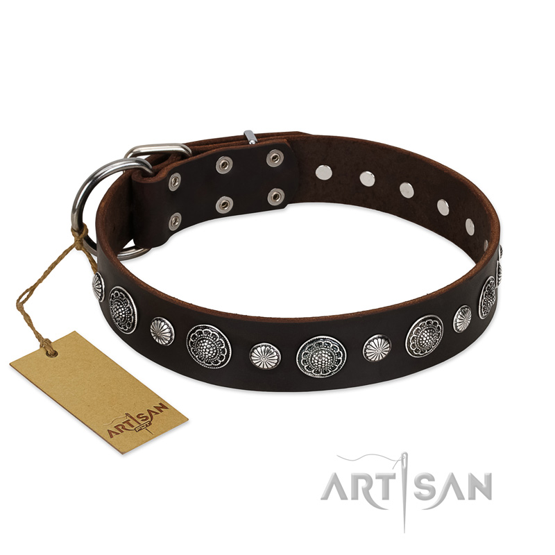 "Victory Ode" FDT Artisan Brown Leather Rottweiler Collar with Silver-like Plated Decorations