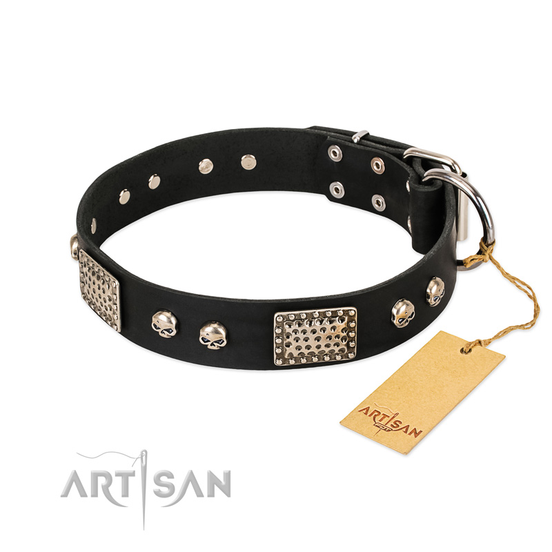 "Pirates Gold" FDT Artisan Black Leather Rottweiler Collar with Old Silver Look Plates and Skulls