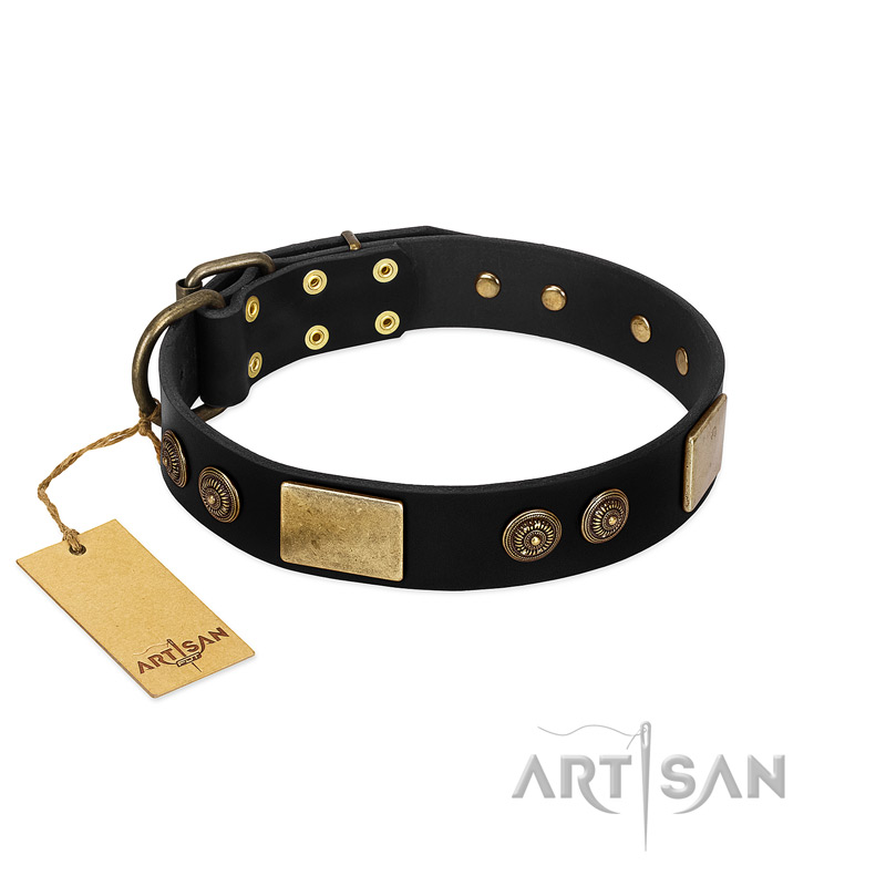 "Chicci-Glam" FDT Artisan Black Leather Rottweiler Collar with Plates and Ornate Studs