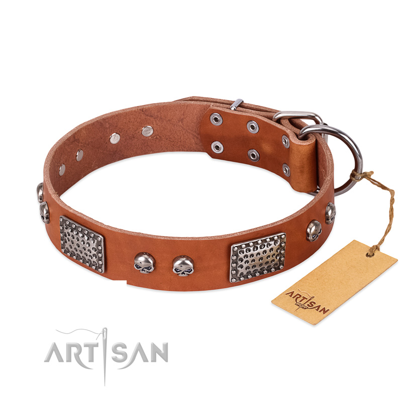 "Sparkling Skull" FDT Artisan Tan Leather Rottweiler Collar with Old Silver Look Plates and Skulls