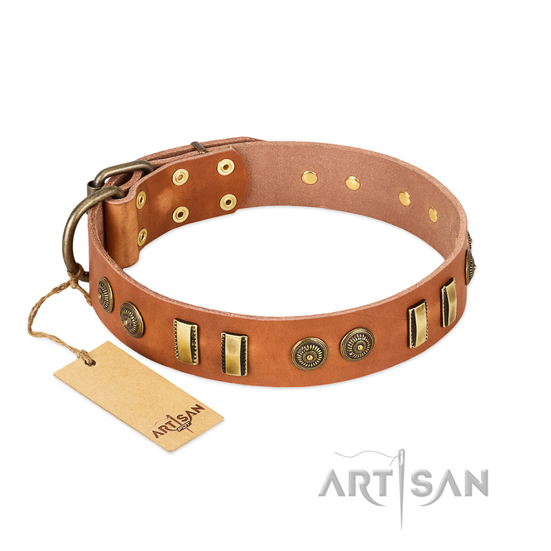 "Natural Beauty" FDT Artisan Tan Leather Rottweiler Collar with Old Bronze-like Circles and Plates