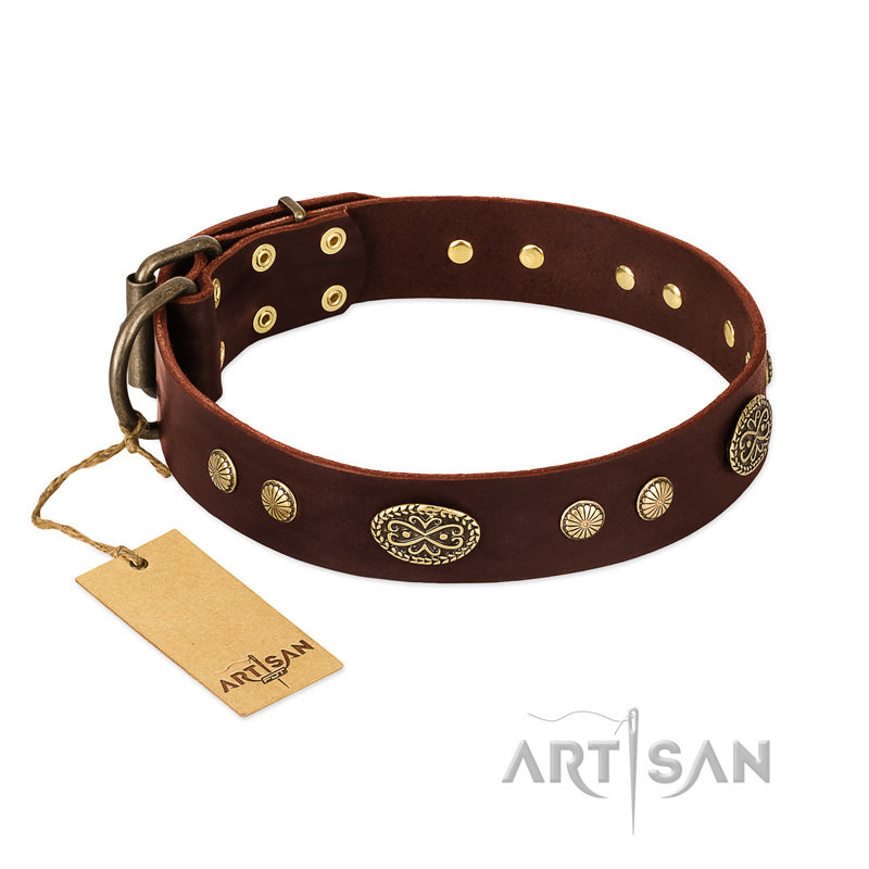 "Old-fashioned Glamor" FDT Artisan Brown Leather Rottweiler Collar with Old Bronze Look Plates and Circles