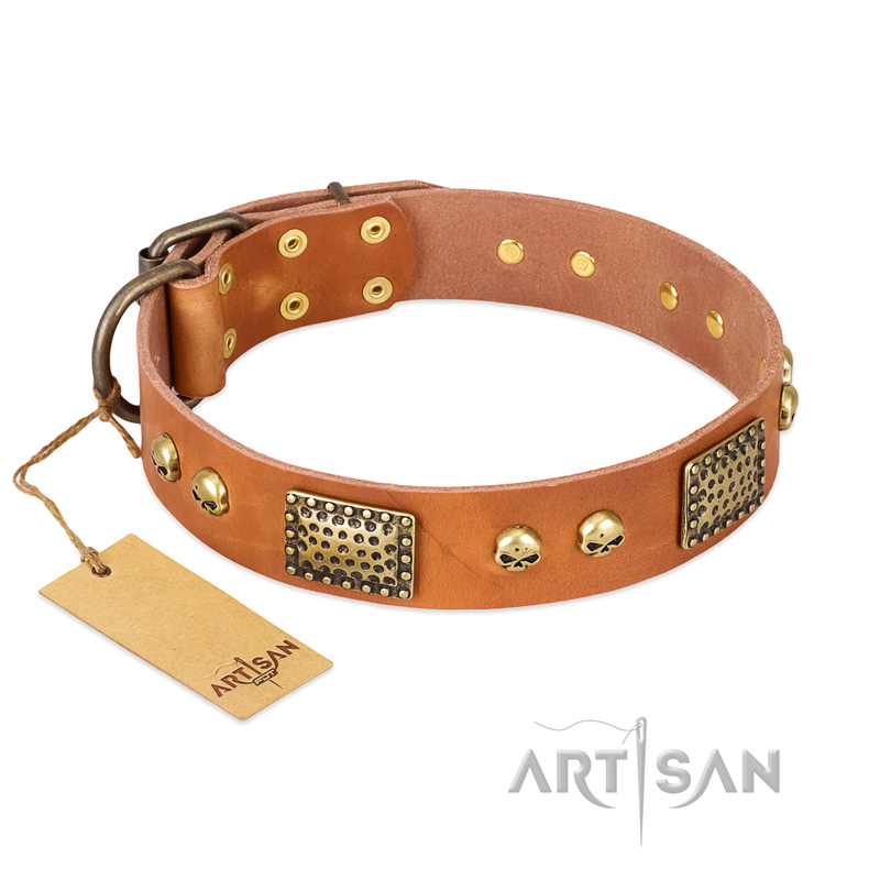 "Saucy Nature" FDT Artisan Tan Leather Rottweiler Collar with Old Bronze Look Plates and Skulls