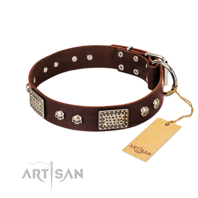 "Pirate Skull" FDT Artisan Brown Leather Rottweiler Collar with Old Silver Look Plates and Skulls