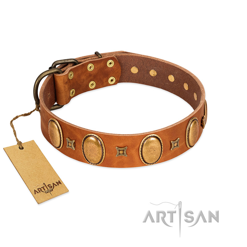 "Glossy Autumn" Designer Handmade FDT Artisan Tan Leather Rottweiler Collar with Ovals and Studs