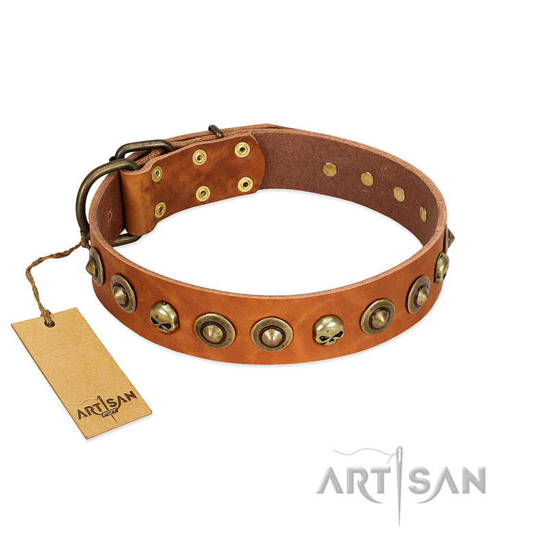 "Prez of the Pack" FDT Artisan Tan Leather Rottweiler Collar with Skulls and Brooches