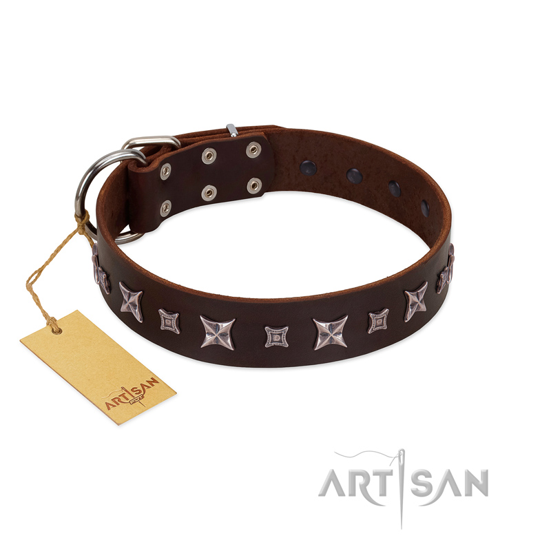 "Stellar Fairy " FDT Artisan Brown Leather Rottweiler Collar with Chrome-plated Star-like Decorations