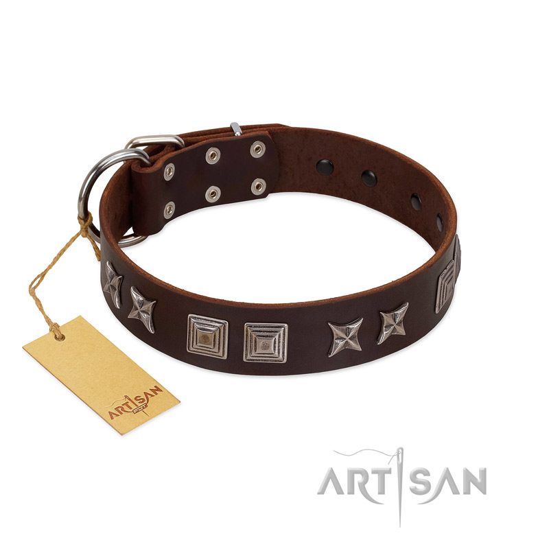 "Needle Stories" Modern FDT Artisan Brown Leather Rottweiler Collar with Square Engraved Plates and Four-Point Stars