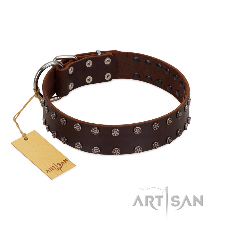 "Star Party" Handmade FDT Artisan Brown Leather Rottweiler Collar with Silver-Like Studs - Click Image to Close