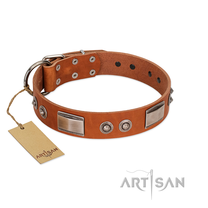 "Pawsy Glossy" FDT Artisan Exclusive Tan Leather Rottweiler Collar 1 1/2 inch (40 mm) wide