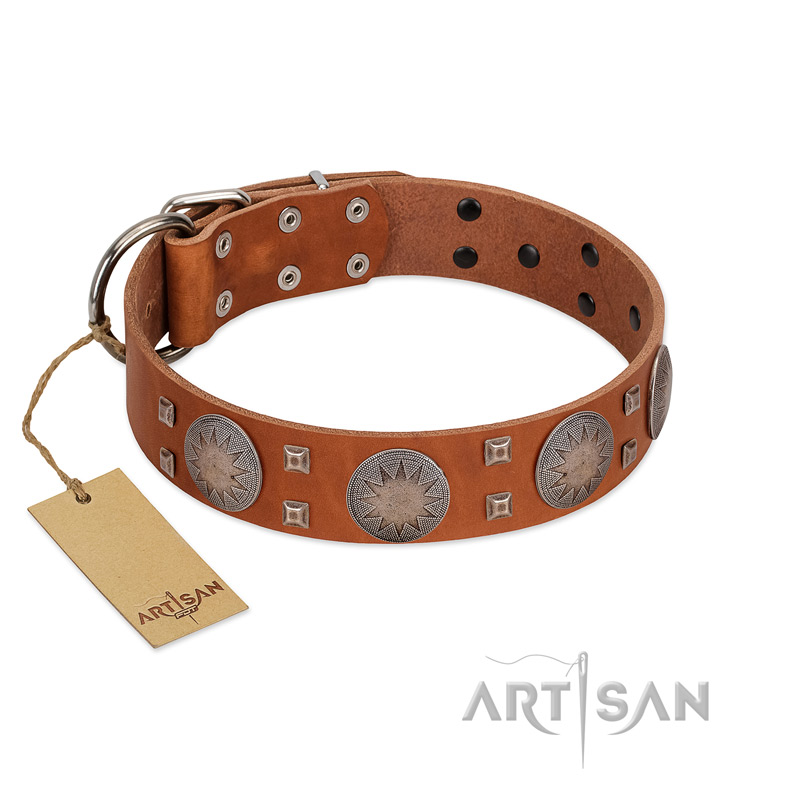 "Sun Rise Noon" FDT Artisan Tan Leather Rottweiler Collar with Unique Design