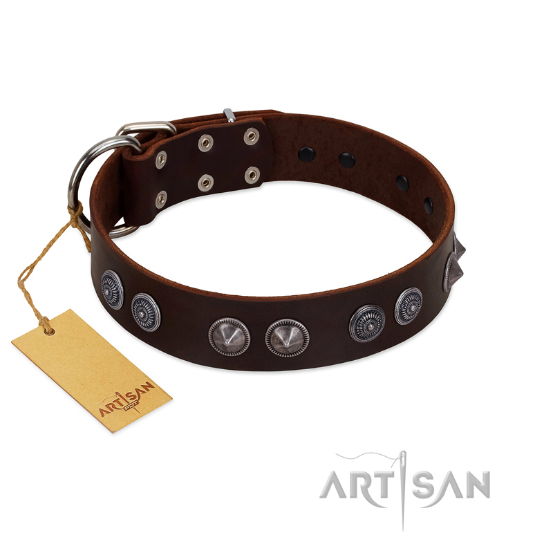 "King Arthur" FDT Artisan Brown Leather Rottweiler Collar with Spiky Plates