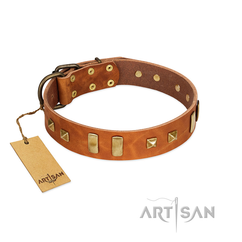 "Sand of Time" FDT Artisan Tan Leather Rottweiler Collar with Old Bronze-like Studs and Plates