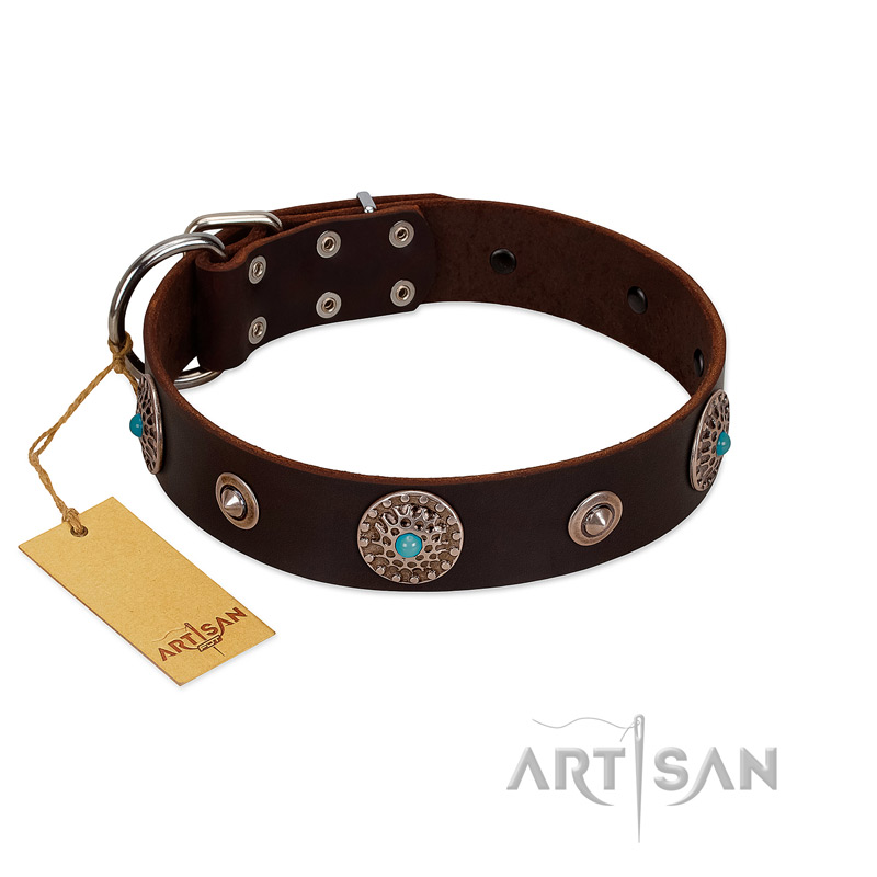 "Magic Stones" FDT Artisan Brown Leather Rottweiler Collar with Chrome Plated Brooches and Studs