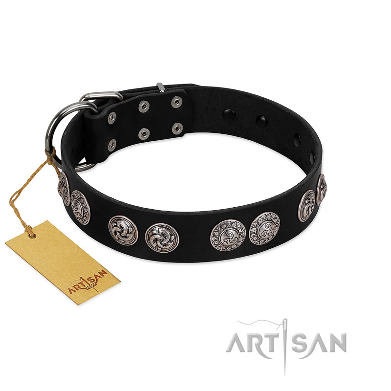 "Magic Amulete" Handcrafted FDT Artisan Black Leather Rottweiler Collar with Chrome-Plated Shields