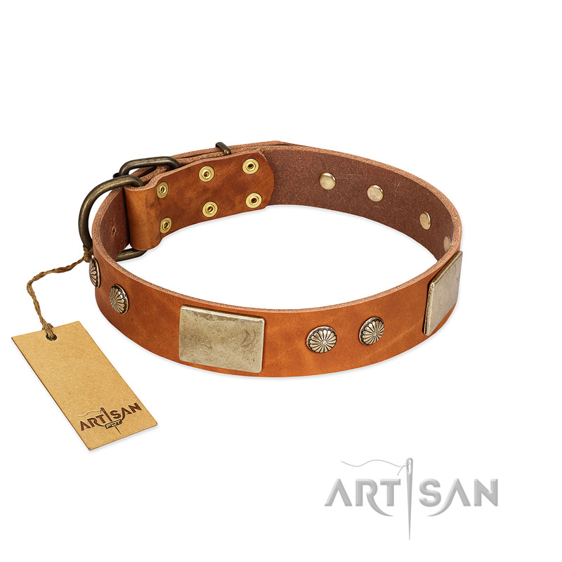 "Ancient Treasures" FDT Artisan Tan Leather Rottweiler Collar with Antiqued Plates and Studs