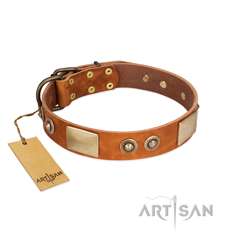 "Perfect Blend" FDT Artisan Tan Leather Rottweiler Collar 1 1/2 inch (40 mm) wide - Click Image to Close