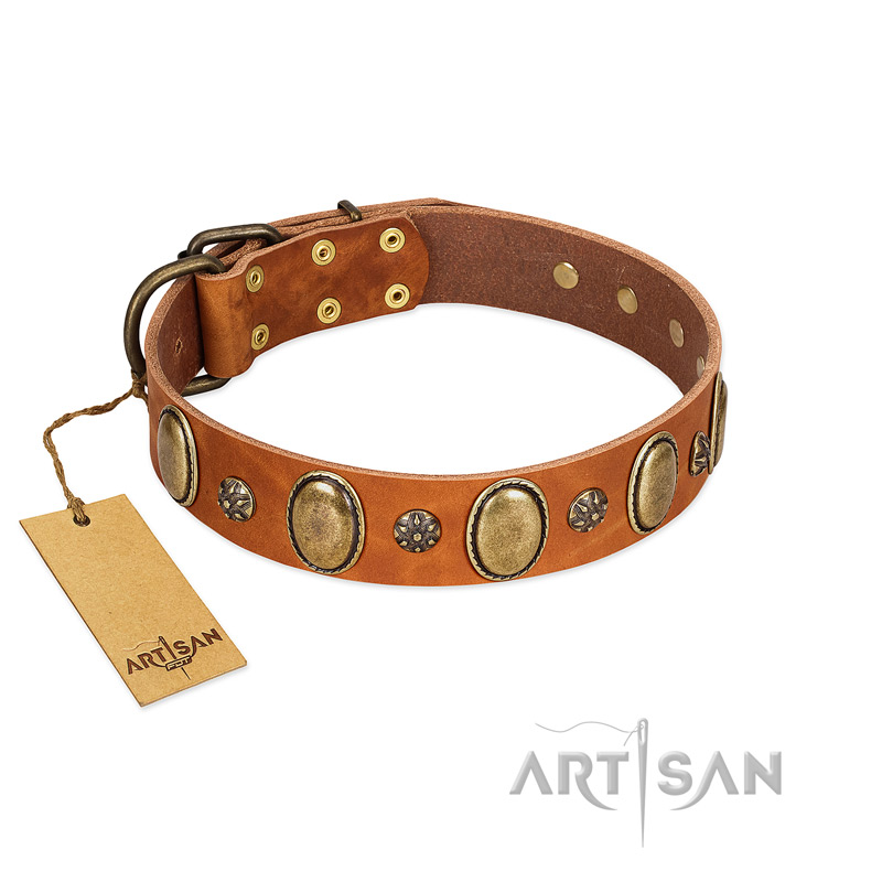 "Total Grace" FDT Artisan Brown Leather Dog Collar with Eye-catchy Ovals and Small Studs