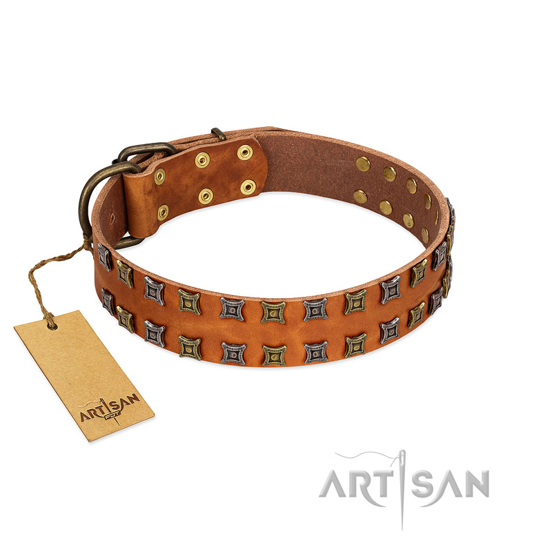 "Terra-cotta" FDT Artisan Tan Leather Rottweiler Collar with Two Rows of Studs