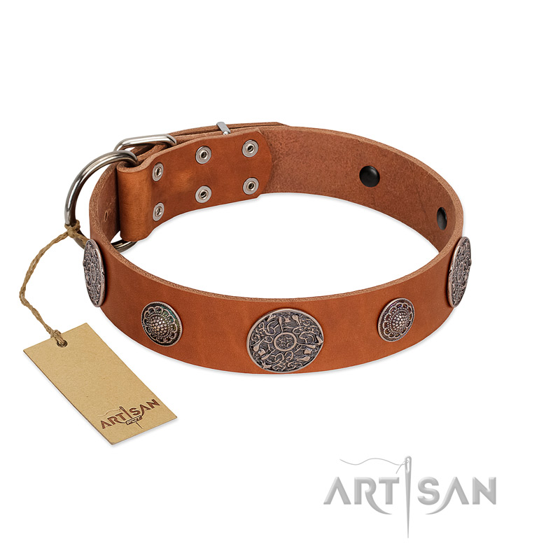 "Foxy Nature" FDT Artisan Tan Leather Rottweiler Collar with Chrome Plated Brooches