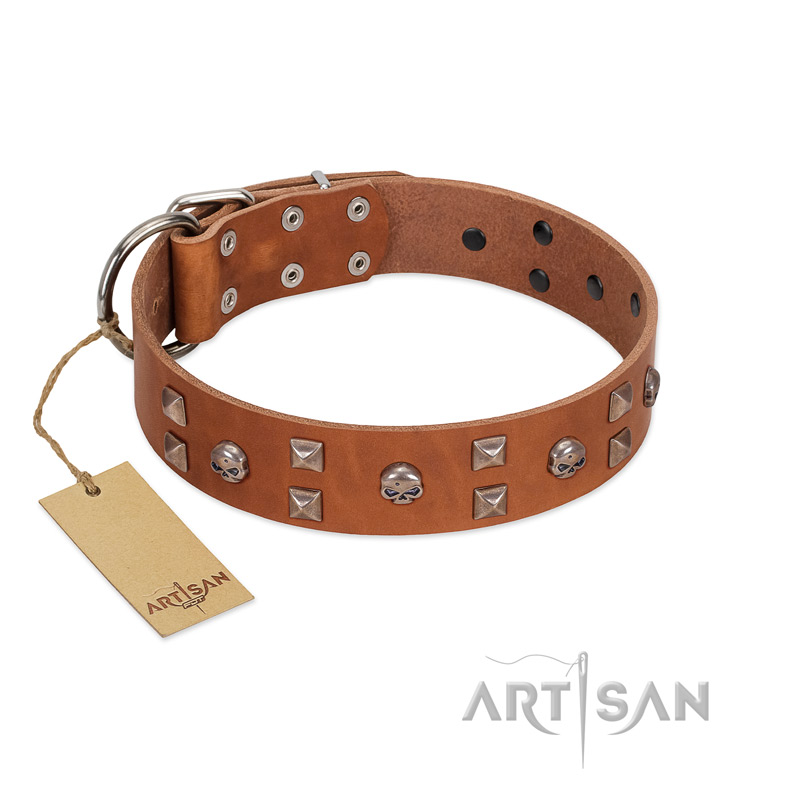 "Enchanted Skulls" FDT Artisan Tan Leather Rottweiler Collar with Chrome Plated Skulls