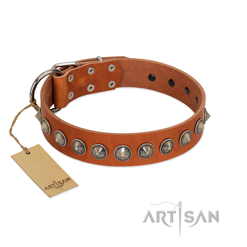 "Silver Spike" Handmade FDT Artisan Tan Leather Rottweiler Collar with Old Silver-Like Spikes