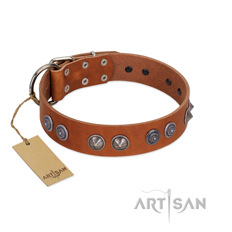 "Silver Necklace" Incredible FDT Artisan Tan Leather Rottweiler Colar with Silver-Like Adornments