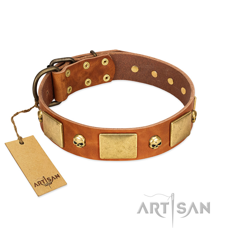 "Mutt The Daredevil" FDT Artisan Tan Leather Rottweiler Collar with Old Bronze-like Skulls and Plates