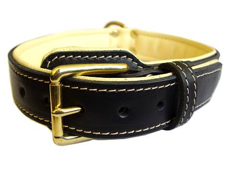 leather padded  dog collar