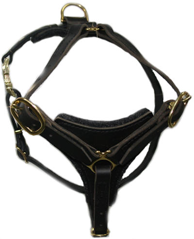 Tracking Leather Harness for Rottweiler