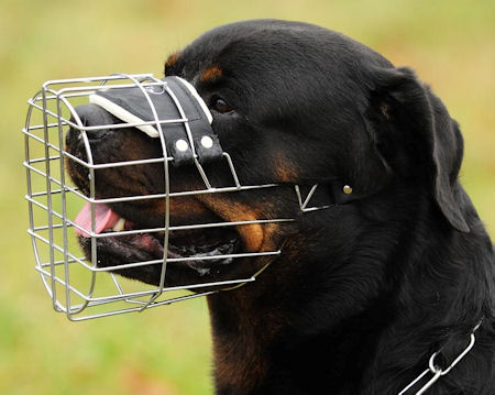 Get Awesome Wire Cage Free Breathe Pet Muzzle for Dog Walking