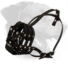 Adjustable Mesh Leather Dog Muzzle for Rottweiler