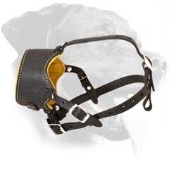 Nappa Padded Muzzle