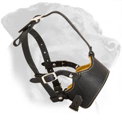 Light weight Leather Muzzle