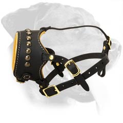 Padded Leather Muzzle