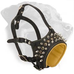 Perfectly Adjustable No Bark Leather Dog Muzzle for Powerful Pets