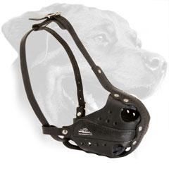 Leather Rottweiler Muzzle Equipped with Adjustable Straps