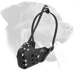 Reliable Leather Rottweiler Muzzle for Agitation Training