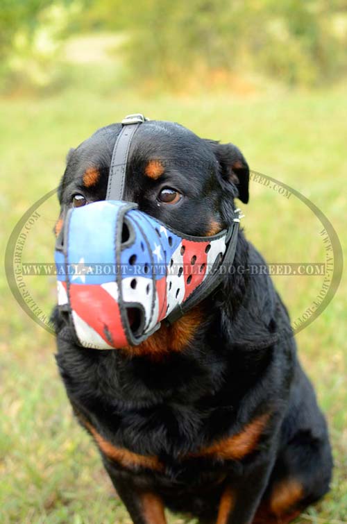 Adjustable Painted Leather Rottweiler Muzzle for Walking and Training