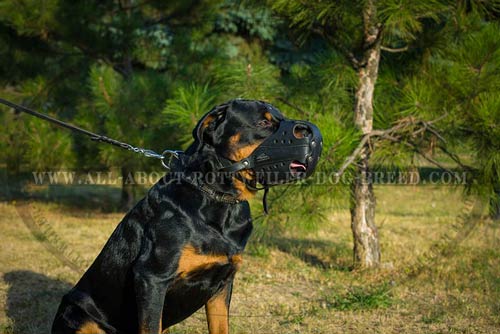 Ventilated Leather Dog Muzzle for Rottweiler Professional Training