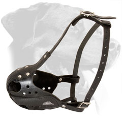 Soft Padded Leather Rottweiler Muzzle