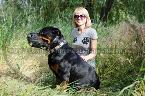 Strong Leather Dog Muzzle for Rottweiler Attack / Agitation  Training