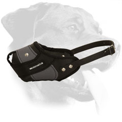 Nylon and Leather Muzzle for Rottweiler with Tear Proof Adjustable Strap