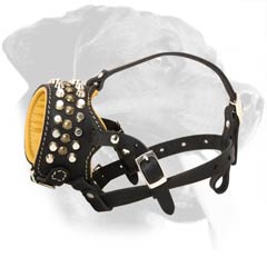 Exclusive Rottweiler Leather Muzzle